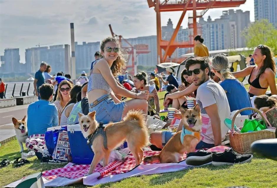 端午、六一嗨玩指南,龙华码头游轮带你花式过节!