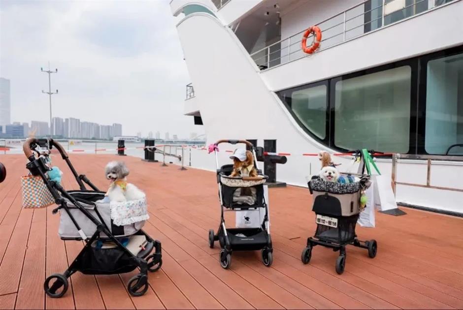 端午、六一嗨玩指南,龙华码头游轮带你花式过节!