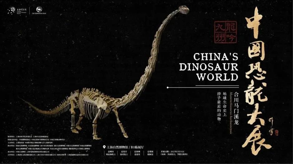 不打烊!收好这份假日看展观演攻略|乐游上海·端午