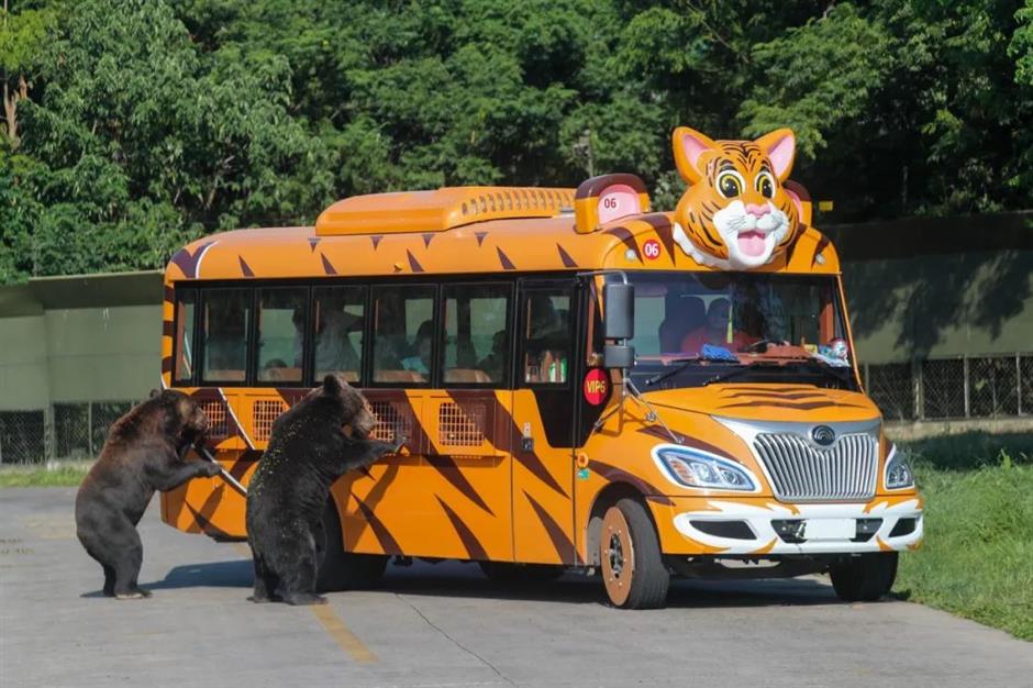 上海六一放大招!精彩遛娃指南→