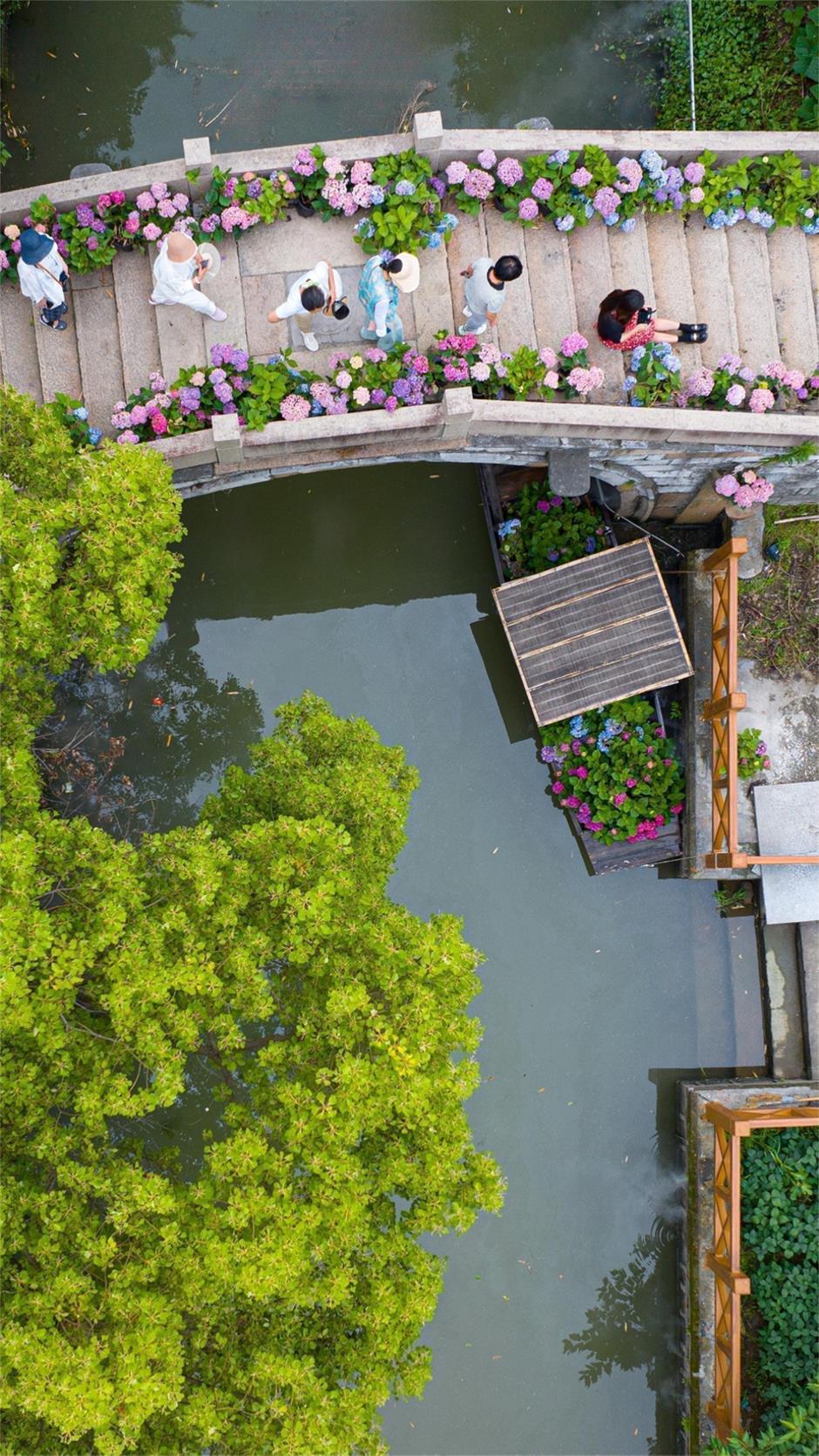 绝美绣球花海秘境~魔都初夏限定浪漫就在这里!