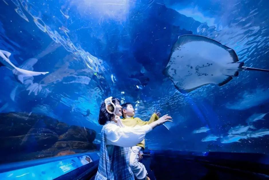 上海六一放大招!精彩遛娃指南→