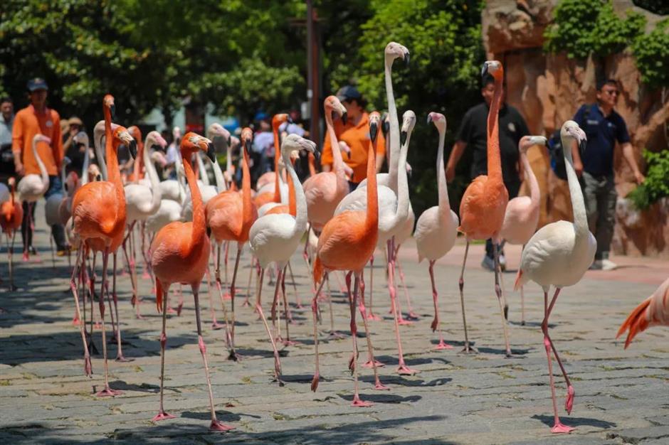 上海六一放大招!精彩遛娃指南→