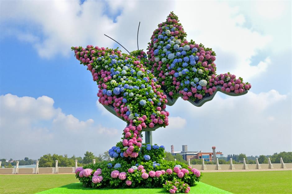 绝美绣球花海秘境~魔都初夏限定浪漫就在这里!