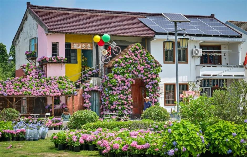 绝美绣球花海秘境~魔都初夏限定浪漫就在这里!