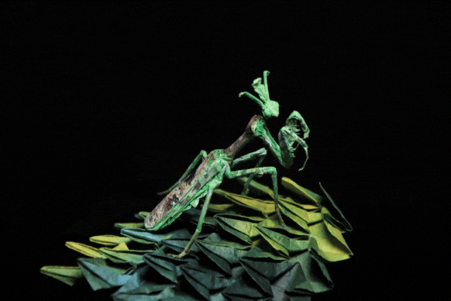 开市啦!一年一度的儿童共创市集回来了