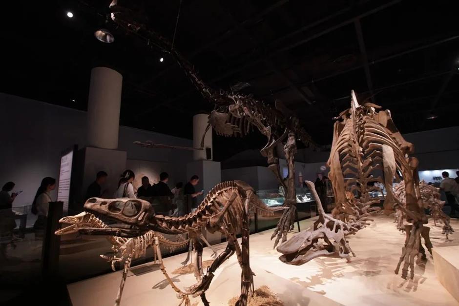 端午假期,本市共接待游客648.08万人次