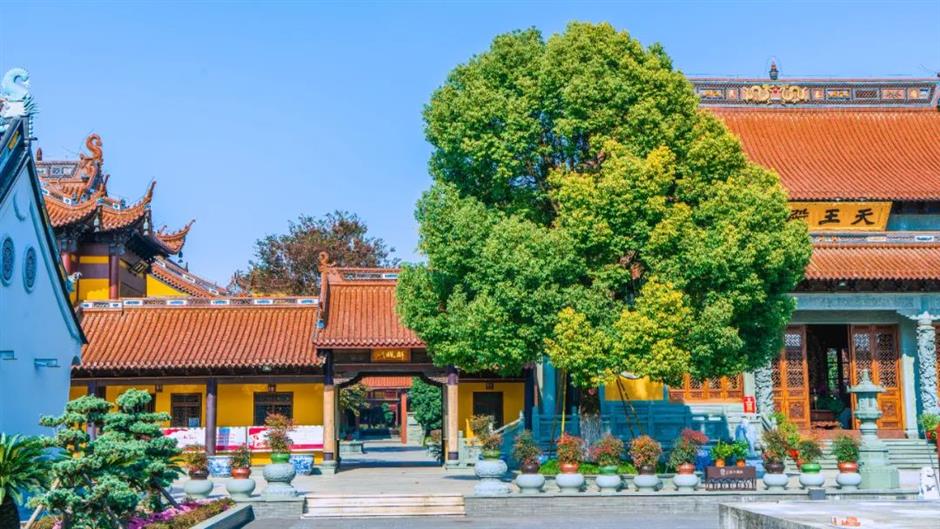 週末好去處+3!打卡寶藏古鎮老街,邂逅一份詩意