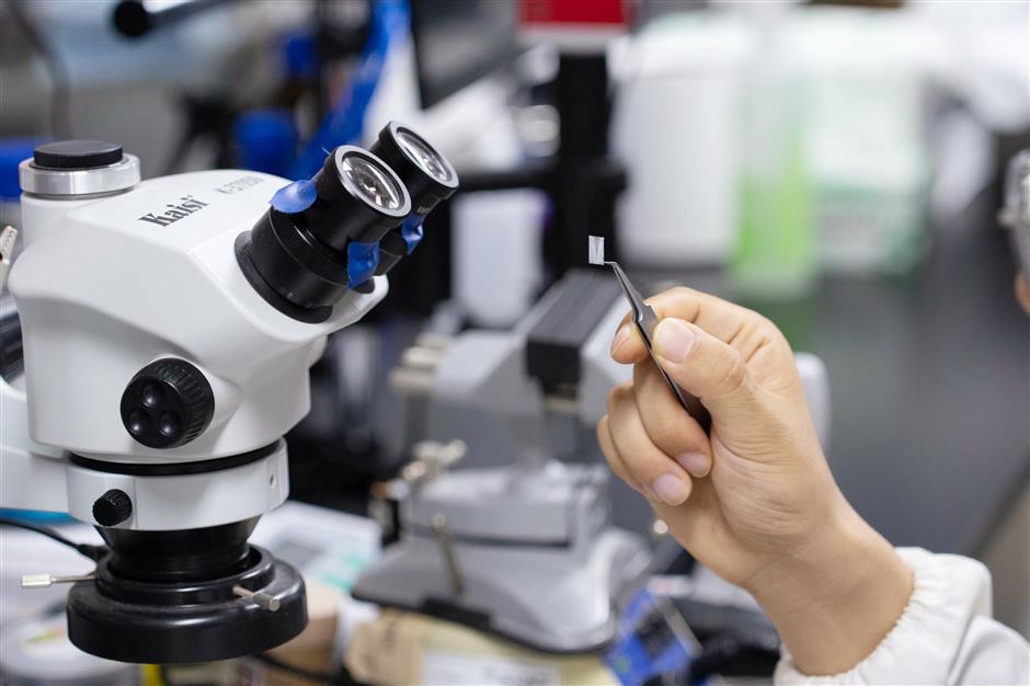 [China Tech] Local brain science experts making new progress