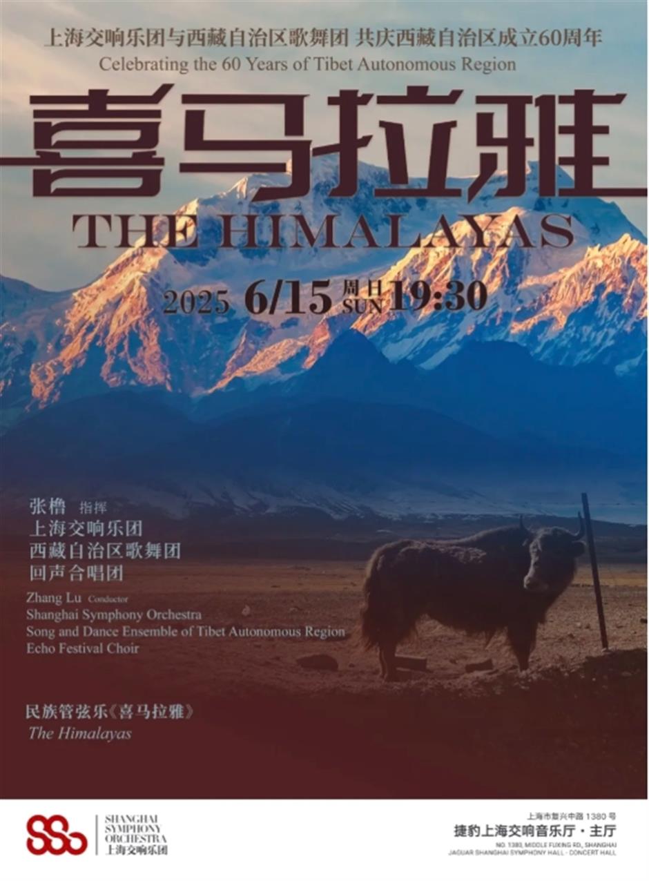 23000平米免费花海、上海国际电影节、花开海上免票游......本周文旅生活指南来了