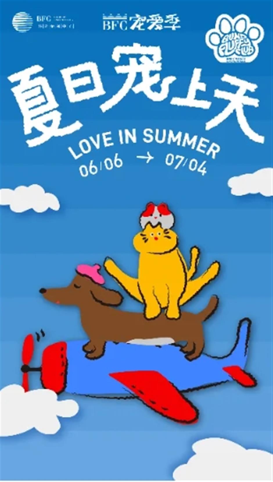 23000平米免费花海、上海国际电影节、花开海上免票游......本周文旅生活指南来了