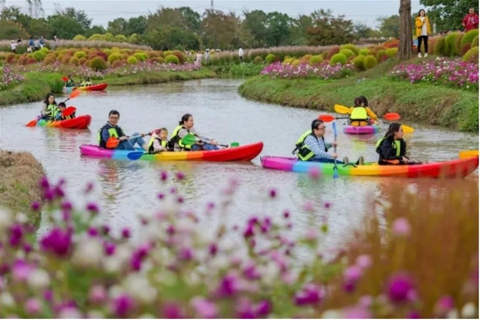 23000平米免费花海、上海国际电影节、花开海上免票游......本周文旅生活指南来了