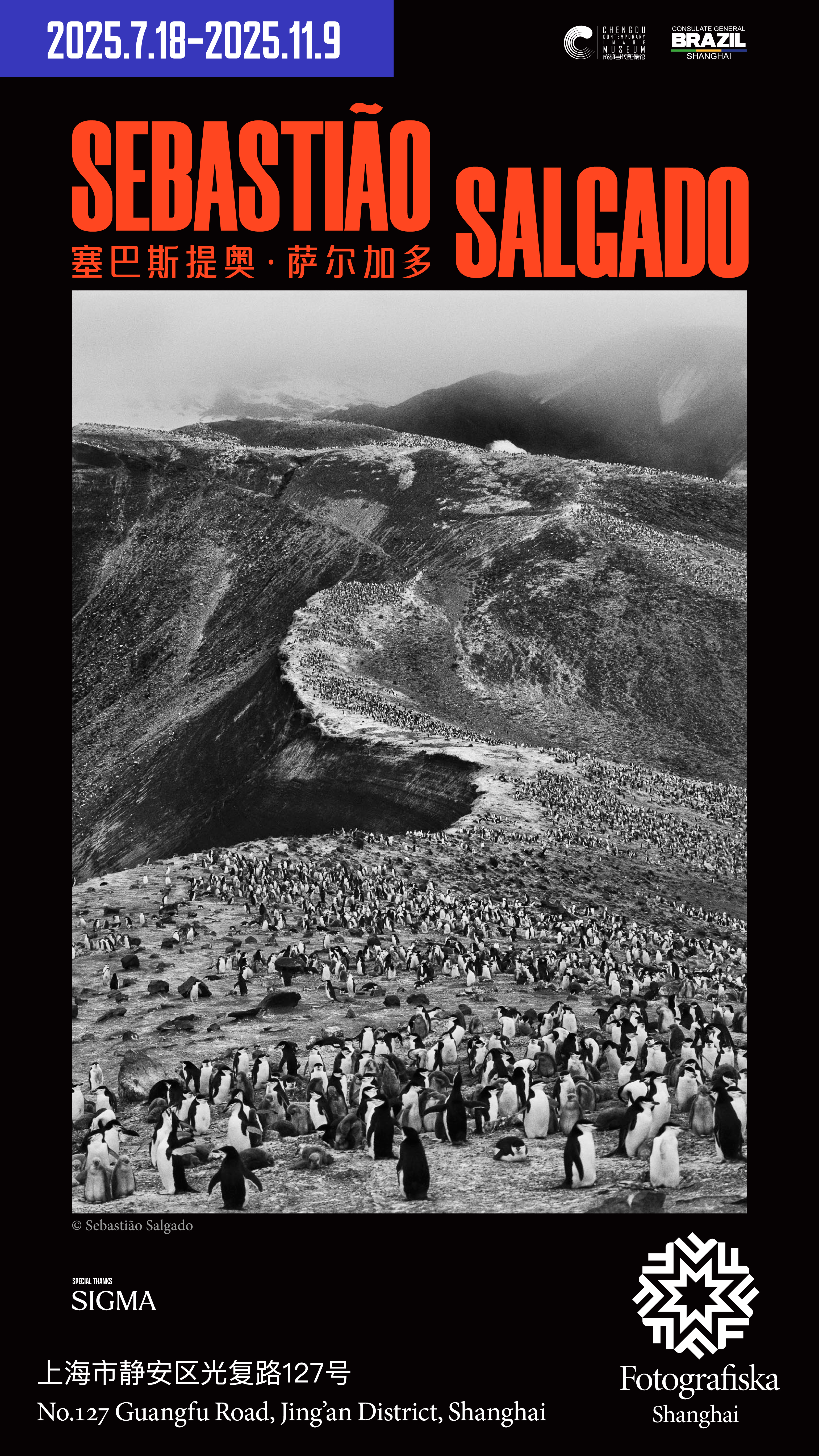 Witness to the world: a tribute to Sebastião Salgado-The Official