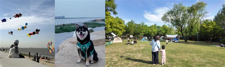[Hai Guide] Feel the pulse of Shanghai 24/7: from quiet parks to late-night gyms