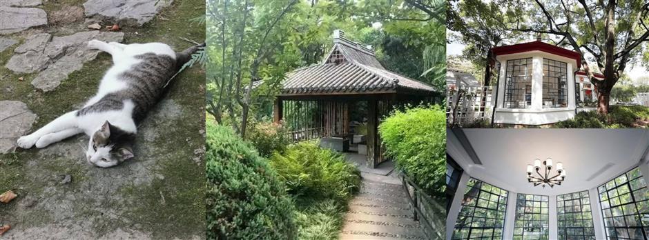 [Hai Guide] Feel the pulse of Shanghai 24/7: from quiet parks to late-night gyms