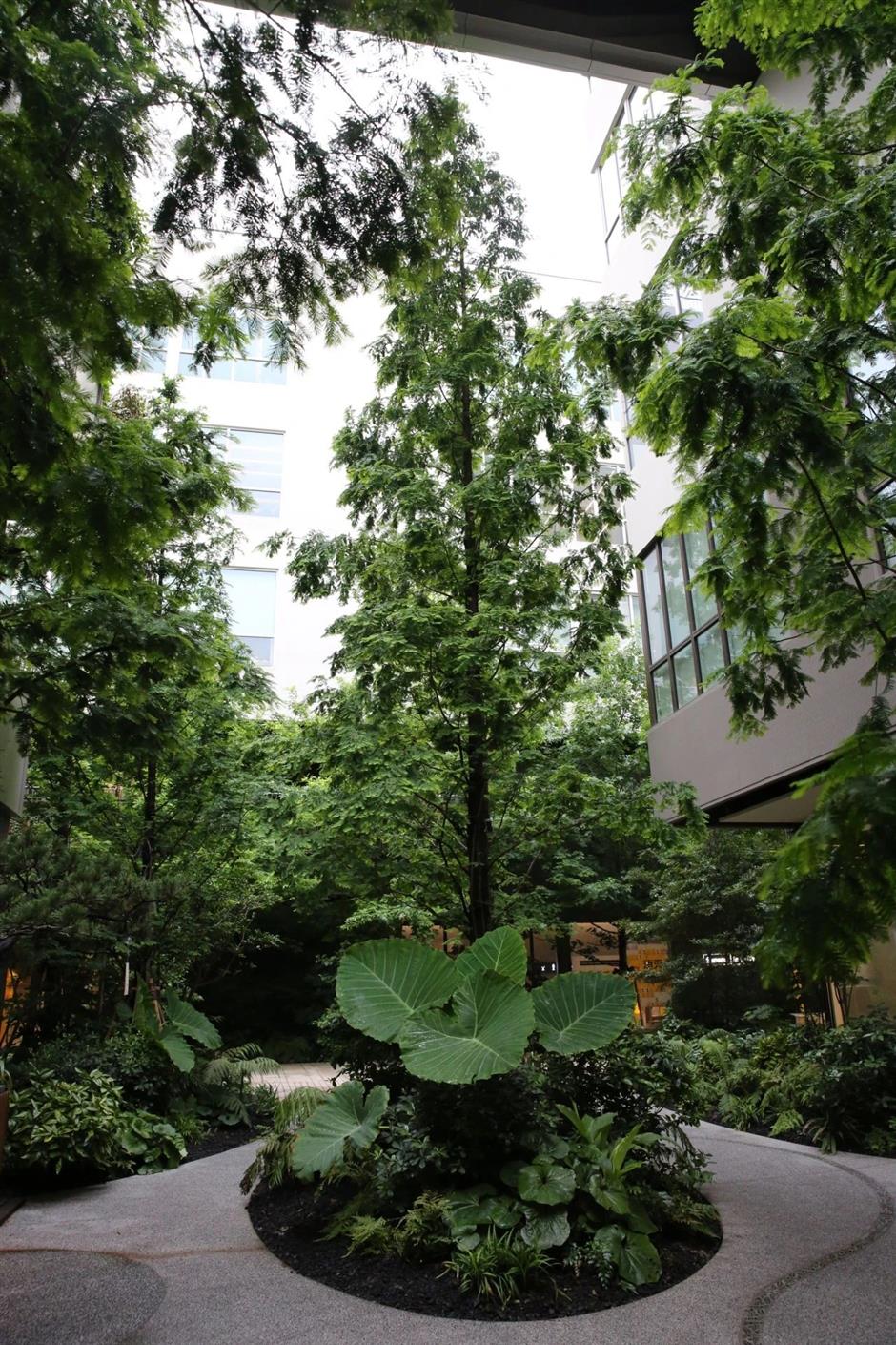 上海电影感街区,绝了!