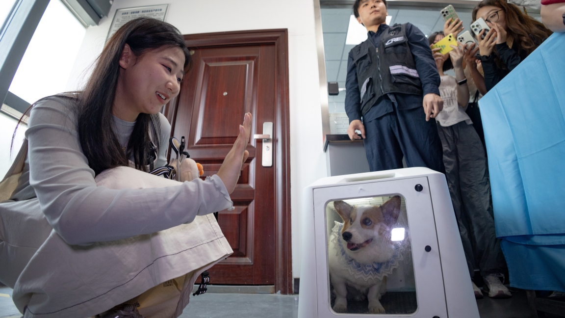 Our furry friends can now travel far on high-speed trains