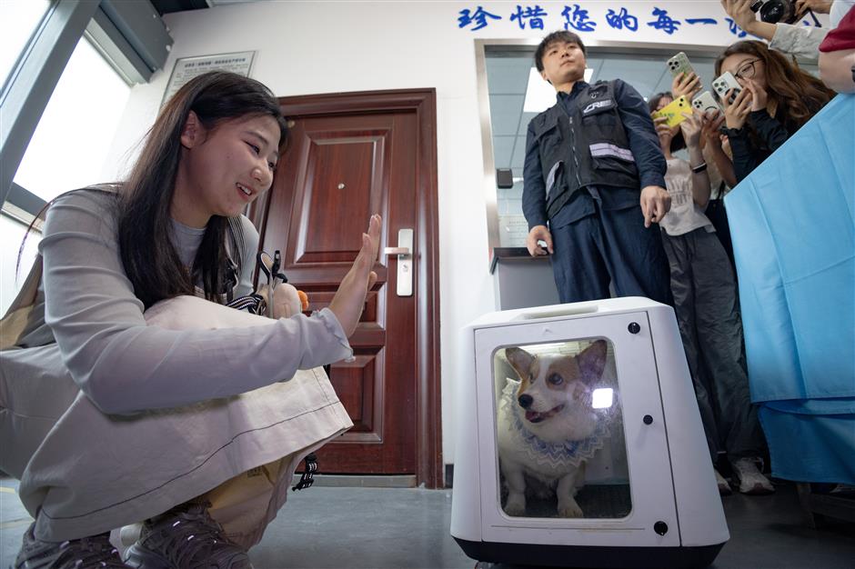 Our furry friends can now travel far on high-speed trains