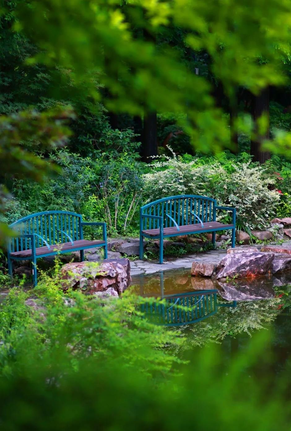 這座免費寶藏公園,把莫內花園搬進現實