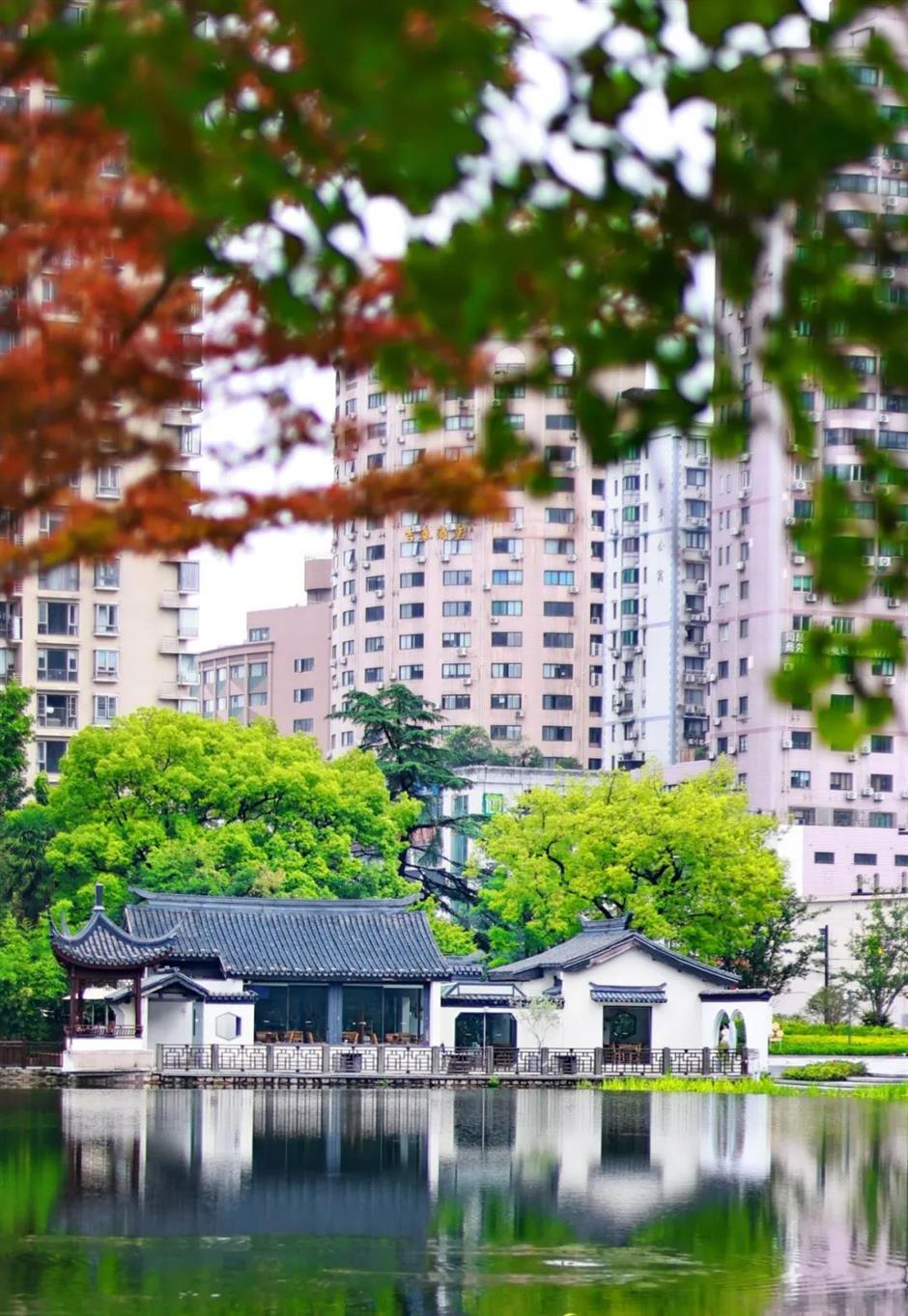這座免費寶藏公園,把莫內花園搬進現實