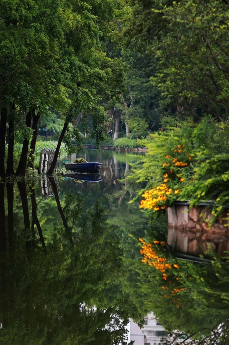 這座免費寶藏公園,把莫內花園搬進現實