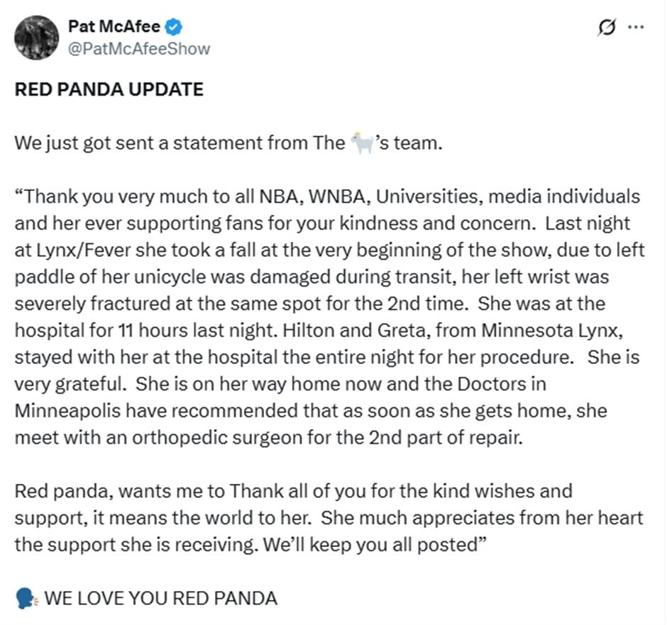 NBA halftime legend 'Red Panda' injured during WNBA Show