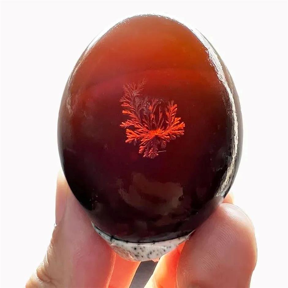 This 'disgusting' Chinese egg cracks open US market