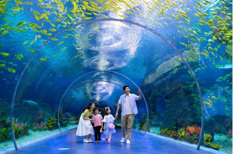 又双叒叕上新!上海各大景区集体焕新→