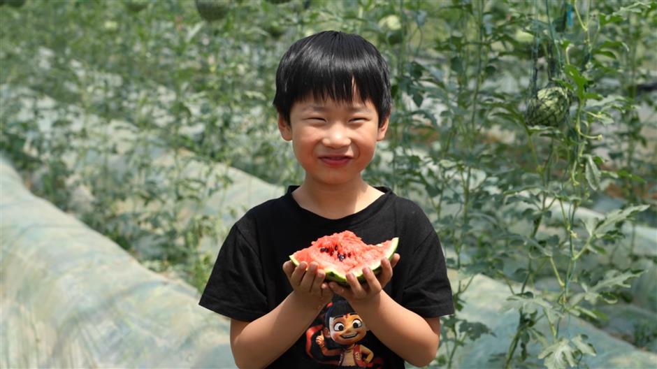 Fruity delights ready for picking in Jiading