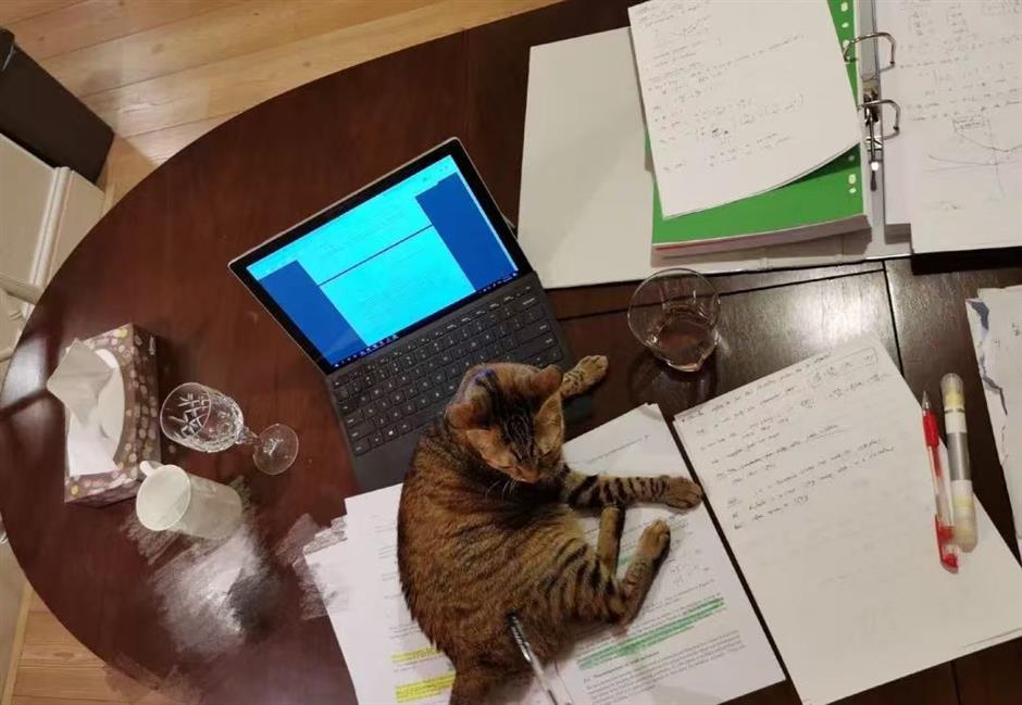 The Oxford math star redefining what a 'genius' looks like