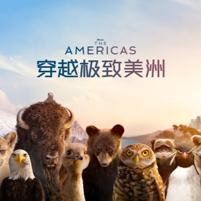 New film, TV productions offer an audio-visual feast this summer