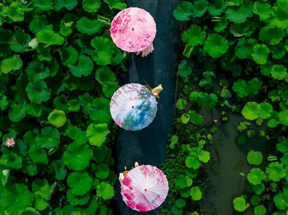 Shanghai launches ancient town tourism festival in Zhujiajiao