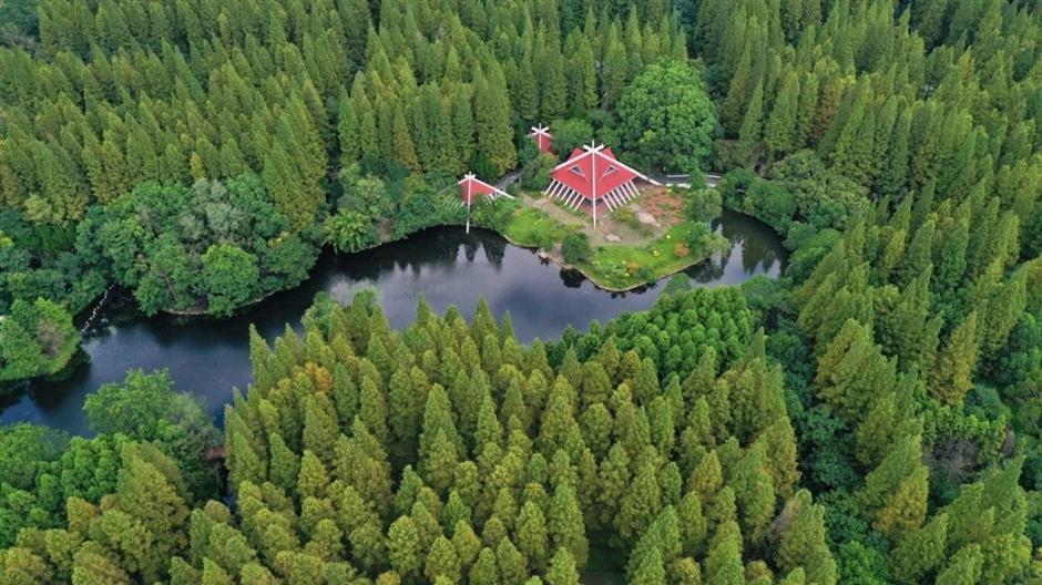 限定福利来袭!来东平国家森林公园畅玩一夏