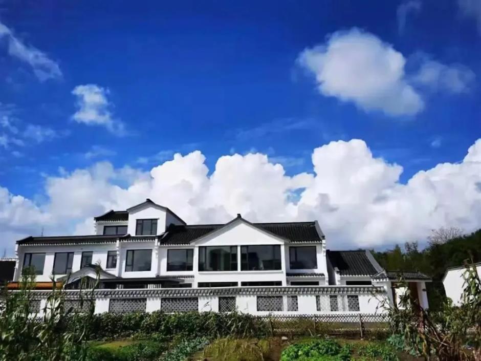 別讓城市困住你!奉賢這幾家民宿喊你:來自然裡喘口氣