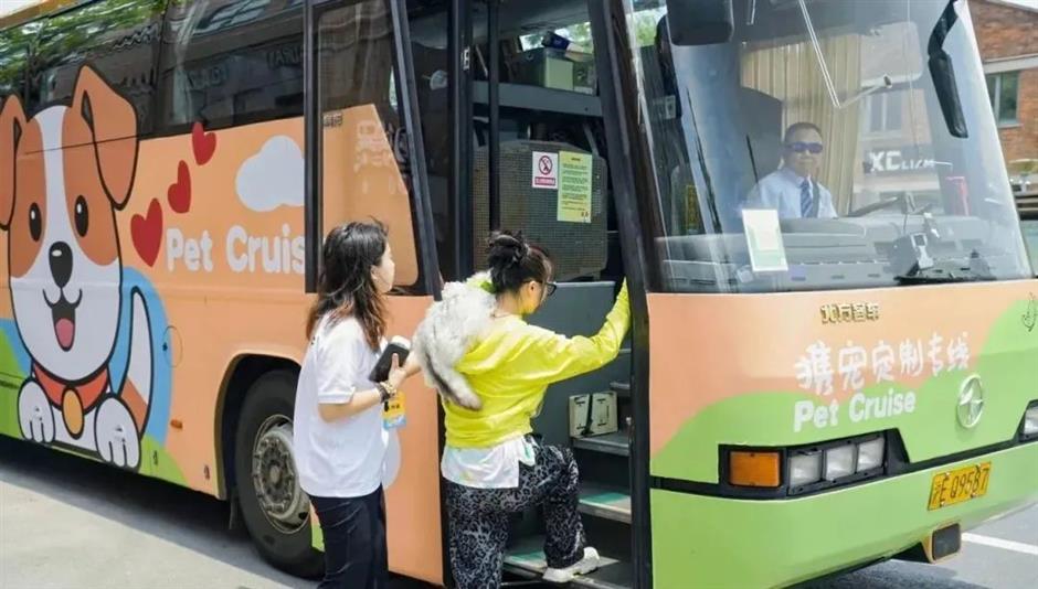 Shanghai gets a custom-designed pet-friendly bus line