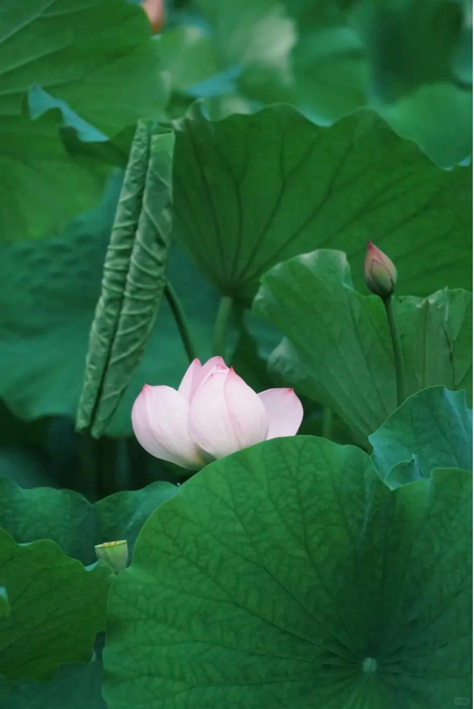 魔都商场新开!国际建筑大师设计地标,自带2万平免费户外运动场