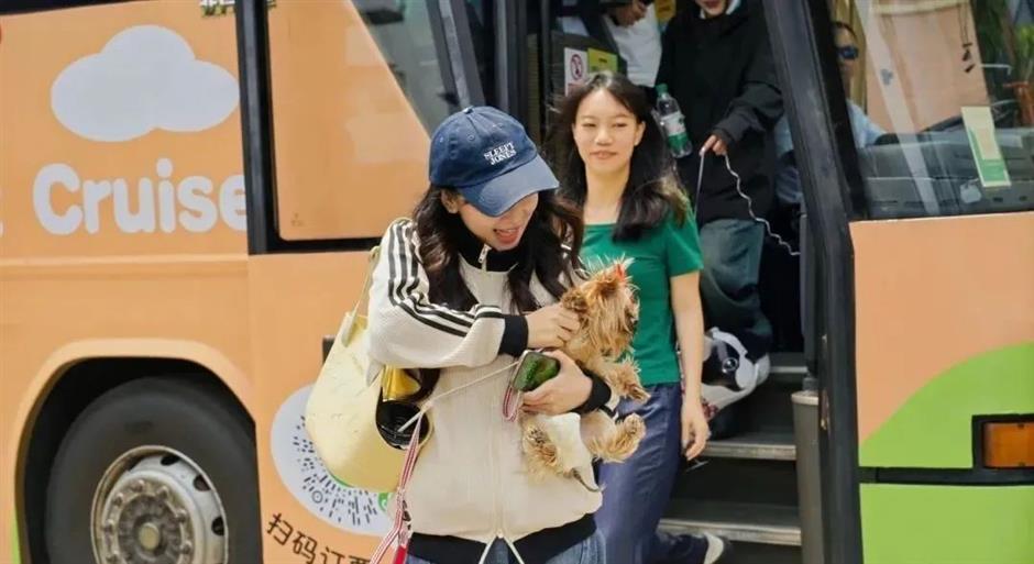 Shanghai gets a custom-designed pet-friendly bus line
