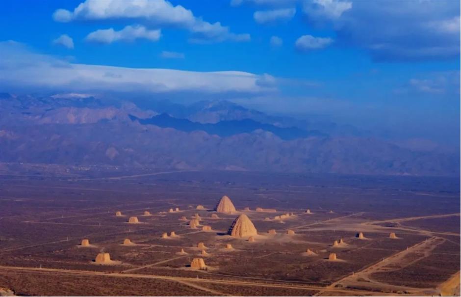 烛龙大展、滨水夜市、伏羊美食节、西夏探秘周......沪小游带您玩转上海一周