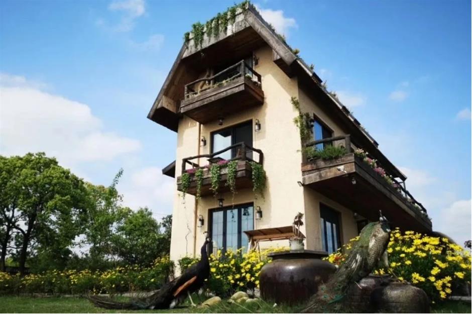 別讓城市困住你!奉賢這幾家民宿喊你:來自然裡喘口氣