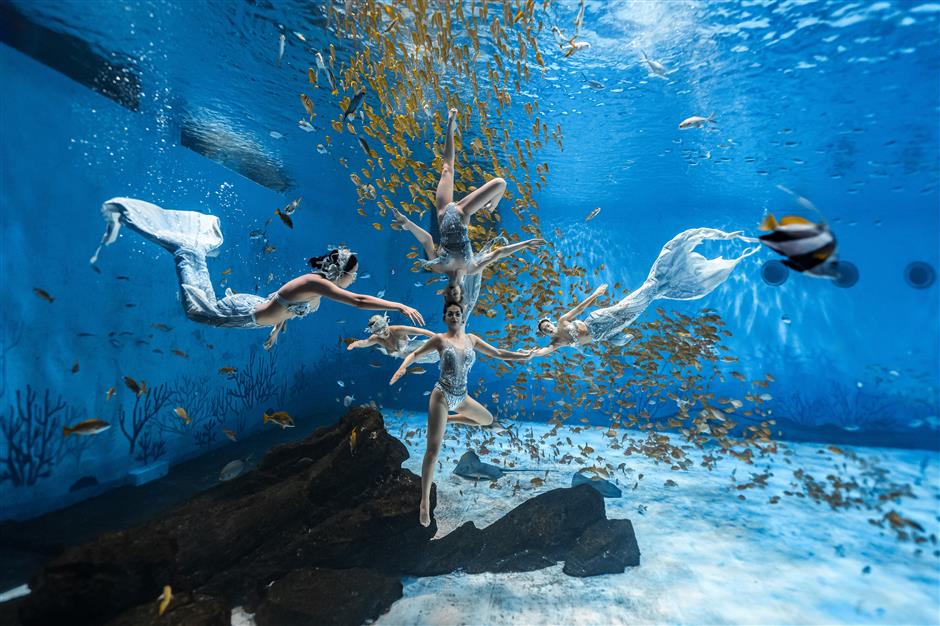 Haichang Ocean Park offers cool respite from scorching summer