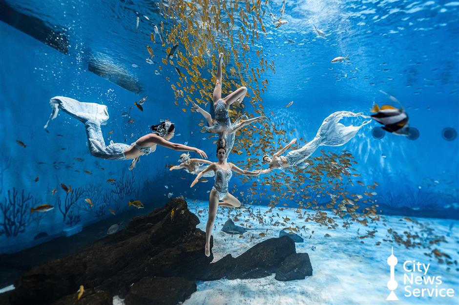 Haichang Ocean Park offers cool respite from scorching summer
