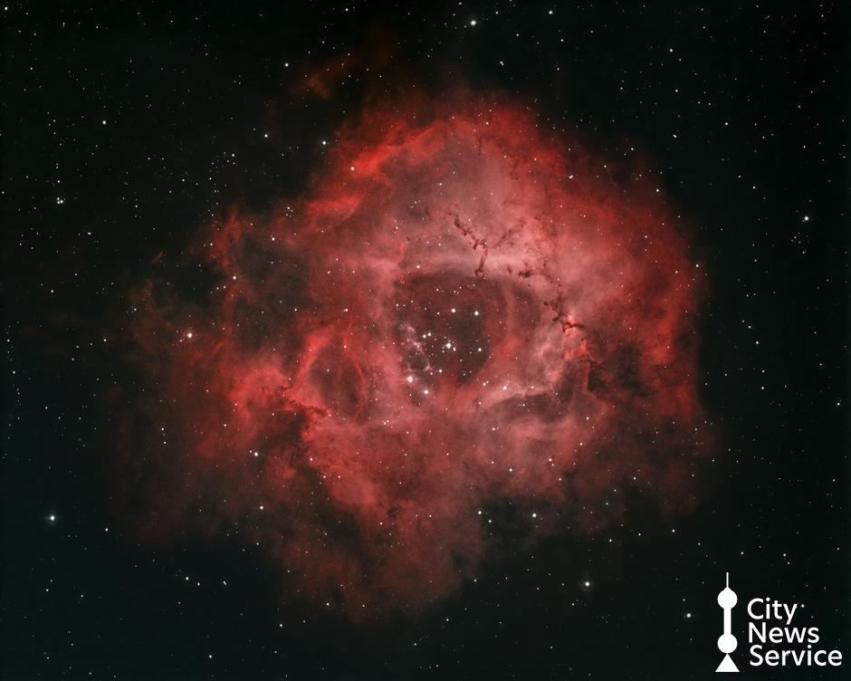 Exploring ocean, universe with immersive digital experiences