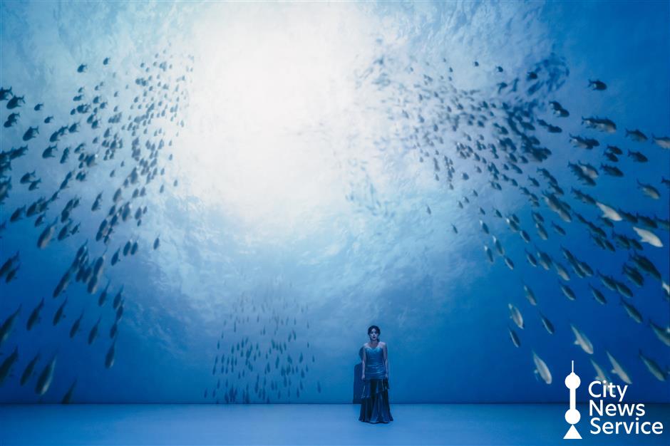 Exploring ocean, universe with immersive digital experiences