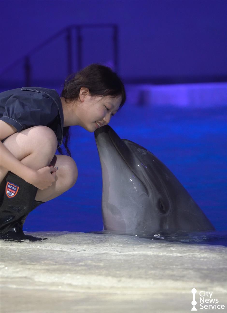 Haichang Ocean Park offers cool respite from scorching summer
