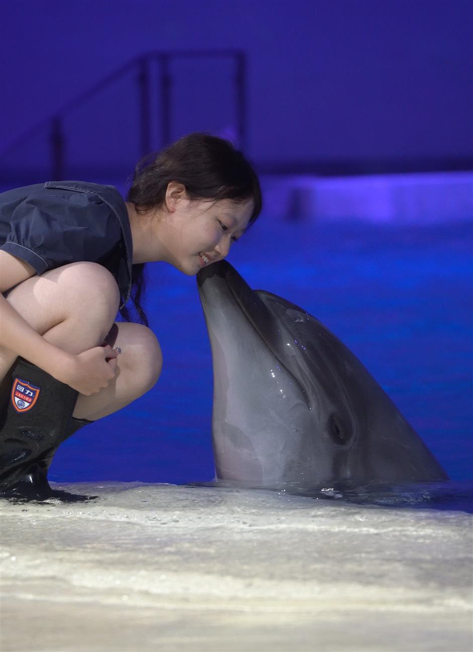 Haichang Ocean Park offers cool respite from scorching summer