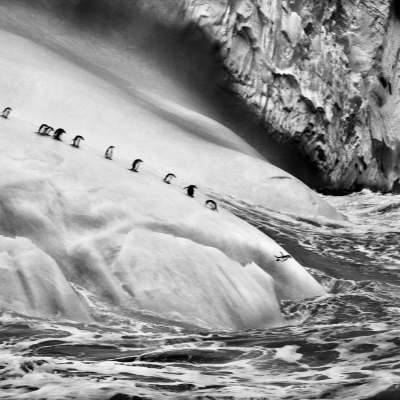 Sebastião Salgado retrospective show