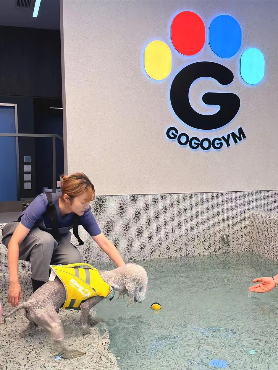 Trendsetting new spots offer great choices for consumers