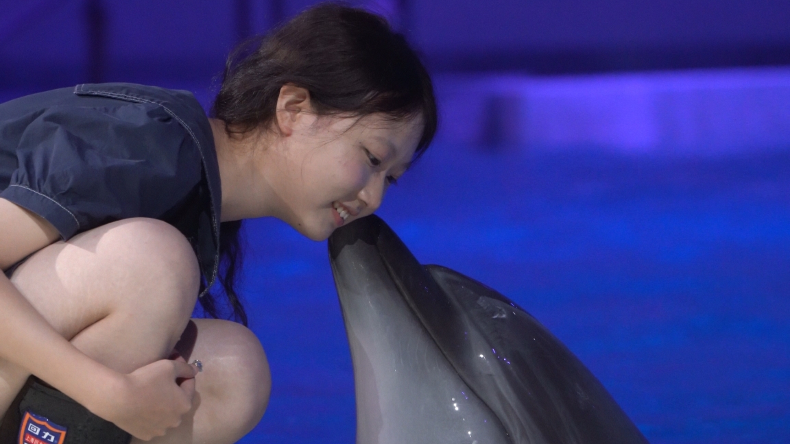 Haichang Ocean Park offers cool respite from scorching summer