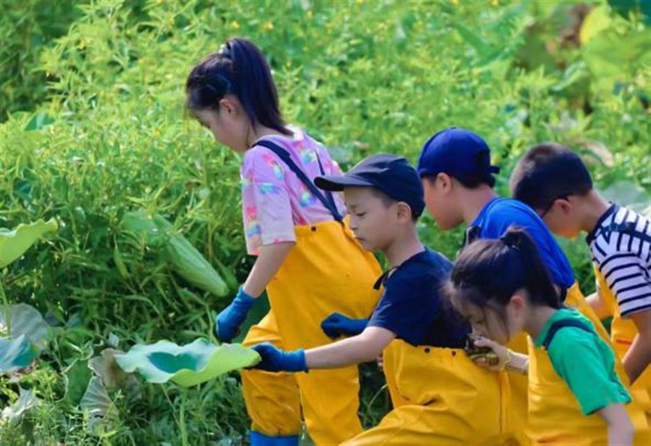 白天赏文物,夜晚追星河!这些活动让亲子时光更有料