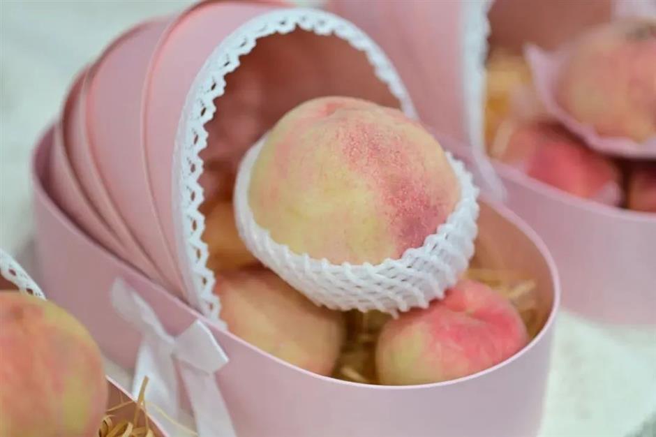 星空夜市、蜜桃K歌、水上競舟……來2025金大團品桃節,這個夏天就要